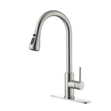 Single Handle Kitchen Sink Faucet with Pull Out Sprayer W2287P154091