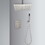 Ceiling Mounted Shower System Combo Set with Handheld and 10"Shower head W2287P182558