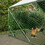 10 ft. x 6.6 ft. Large Metal Walk-in Chicken Coop Galvanized Poultry Cage with Roosting Bar Farm Hen House W2505P160535