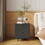 Modern Night Stand Storage Cabinet for Living Room Bedroom, Steel Cabinet with 2 Drawers,Bedside Furniture, Circular Handle W252113551