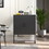 Modern Steel Storage Cabinet with Adjustable Shelves, Free Standing Accent Cabinet with Magnetic Doors, Heavy Duty Buffet Sideboard for Bedroom, Kitchen, and Home Office, Anti-Tip Design Easy assemble