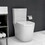 Small Compact One Piece Toilet Dual Flush,23 inch Short Depth for Tiny Bathroom,White W2826P192006