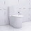 Elongated One Piece Toilet White W2826P192007