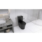 Matte Black Elongated One Piece Toilet Dual Flush 1.1/1.6 GPF Water Saving Map 1000g,Matte Black W2826P192009