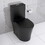 Matte Black Elongated One Piece Toilet Dual Flush 1.1/1.6 GPF Water Saving Map 1000g,Matte Black W2826P192009