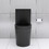 Matte Black Elongated One Piece Toilet Dual Flush 1.1/1.6 GPF Water Saving Map 1000g,Matte Black W2826P192009