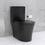 Matte Black Elongated One Piece Toilet Dual Flush 1.1/1.6 GPF Water Saving Map 1000g,Matte Black W2826P192009