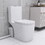 Upflush Toilet for Basement, 600W Macerating Toilet System with Powerful Dual Flush, Elongated 17.25 ADA Comfort, Soft-Close Seat, 3 Water Inlets Connect to Sink, Shower, White W2826P192011