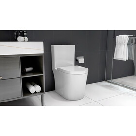 Small Compact One Piece Toilet Dual Flush,23 inch Length for Tiny Bathroom,White with Black Button W2826P199553