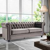 Classic Sofa Loveseat Velvet Solid Wood Oak Feet W30223197