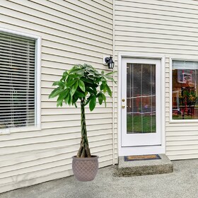3 Pieces Ceramic Flowerpot, Modern Planter for Patio, Garden or Windowsills - Antique Yellow