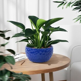 3 Pieces Ceramic Planter Pot, Modern Indoor Outdoor Flowerpot for Patio, Garden, or Windowsills - Antique Blue