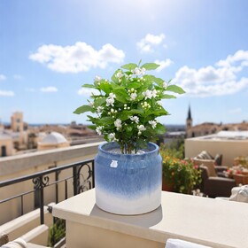 Set of 2 Gradient Ceramic Flowerpot, Modern Planter for Patio, Garden, Windowsill - White Blue