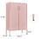 Pink Steel Double Door Cabinet with Handles, with Removable Dividers and Adjustable Height. Suitable for Living Room, Office, Bedroom, Study and Other Places. W328P195208