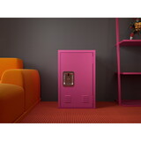 Compact Rose Pink Steel Storage Cabinet: Detachable, Ample Storage Space, Easy assembly W396100786