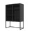47.2 inches high Metal Storage Cabinet with 2 Mesh Doors, Suitable for Office, Dining Room and Living Room, Black W39663454