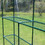 Outdoor 56" W x 56" D x 76" H Green House,Walk-in Plant Gardening Greenhouse with 2 Tiers 8 Shelves(Transparent Cover) W41923659