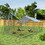 Large Chicken Coop Metal Chicken Run Walk-in Poultry Cage Spire-Shaped with Waterproof and Anti-Ultraviolet Cover for Backyard and Farm Outside Lockable Door(9.8'Lx13.1'Wx6.4'H) W419P144217