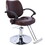 Hair Salon Chair Styling Heavy Duty Hydraulic Pump Barber Chair Beauty Shampoo Barbering Chair for Hair Stylist Women Man,with Barber Cape (Brown) W465P156736