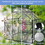 6X6FT-BLACK Polycarbonate Greenhouse Raised Base and Anchor Aluminum Heavy Duty Walk-in Greenhouses for Outdoor Backyard in All Season (W540S00002) W540S00008
