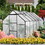 6x12 FT Polycarbonate Greenhouse Raised Base and Anchor Aluminum Heavy Duty Walk-in Greenhouses for Outdoor Backyard in All Season,Black W540S00018