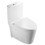 Chromed flush button for toilet 21S0901-GW W54341056