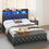 W636P193182 Black+MDF+Metal+Box Spring Not Required+Queen+Metal