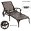 Aluminium Cast lounge chair 2pcs brown W640P186312