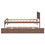 Wooden Twin Size Platform Bed Frame with Trundle for Walnut Color W697121848