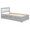 Wooden Twin Size Platform Bed with 2 Drawers for Grey Color W697121850
