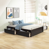 Full Bed with Twin Size Trundle and Two Drawers W69732768
