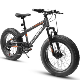 A20316 20 inch Fat Tire Bike Adult/Teen Full Shimano 7 Speed Mountain Bike, Dual Disc Brakes, High Carbon Steel Frame, Front Suspension, Mountain Dirt Bike, Fat Tire Bike W709P185460