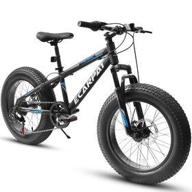A20316 20 inch Fat Tire Bike Adult/Teen Full Shimano 7 Speed Mountain Bike, Dual Disc Brakes, High Carbon Steel Frame, Front Suspension, Mountain Dirt Bike, City Commuter City Bike, Fat Tire Bike