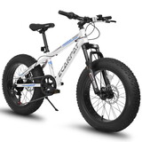 A20316 20 inch Fat Tire Bike Adult/Teen Full Shimano 7 Speed Mountain Bike, Dual Disc Brakes, High Carbon Steel Frame, Front Suspension, Mountain Dirt Bike, City Commuter City Bike, Fat Tire Bike