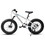 A20316 20 inch Fat Tire Bike Adult/Teen Full Shimano 7 Speed Mountain Bike, Dual Disc Brakes, High Carbon Steel Frame, Front Suspension, Mountain Dirt Bike, City Commuter City Bike, Fat Tire Bike