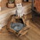 25.98" Shaped Modern Pet Furniture Cat Kennel Side Table MDF Multi-Purpose Furniture Antique Wood Color W757P164916