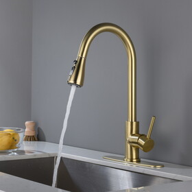 Kitchen Faucet with Pull Out Spraye W928100989
