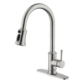 Kitchen Faucet with Pull Out Spraye W928100995