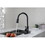 Kitchen Faucet with Pull Out Spraye W928101067