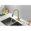 Single Handle High Arc Pull Out Kitchen Faucet,Single Level Stainless Steel Kitchen Sink Faucets with Pull Down Sprayer W928104334