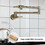 Pot Filler Faucet, Modern Brass Pot Filler Two-Attachment Wall Mount Folding Kitchen Pot Filler Swing Arm W928106357