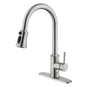 Kitchen Faucet with Pull Out Spraye W928110325
