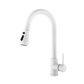 Kitchen Faucet with Pull Out Spraye W928110891