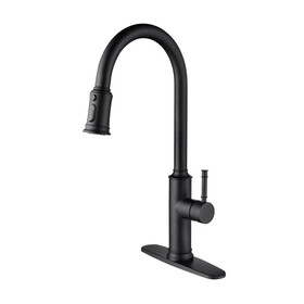 Kitchen Faucet with Pull Out Spraye W928110973