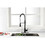 Kitchen Faucet with Pull Out Spraye W92850230