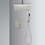 Ceiling Mounted Shower System Combo Set with Handheld and 10"Shower head W92850253