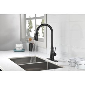 Touch Kitchen Faucet with Pull Down Sprayer W92850269