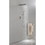 Shower System with Shower Head, Hand Shower, Hose, Valve Trim, Lever Handles and Niche W92863531