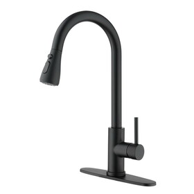Kitchen Faucet with Pull Out Spraye W92864318