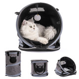 3 in 1 Cat Bed, Foldable Tunnel Pet Travel Carrier Bag Toy Cat Bed with Plush Balls for Indoor Cats Puppy W97958811
